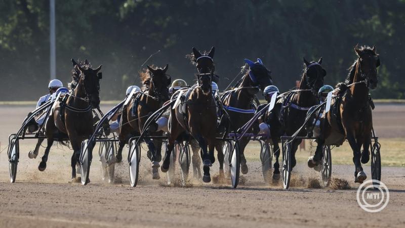 Magyar Ügető Derbyn a fővárosi Kincsem Parkban 2025. július 5-én. MTI/Hegedüs Róbert